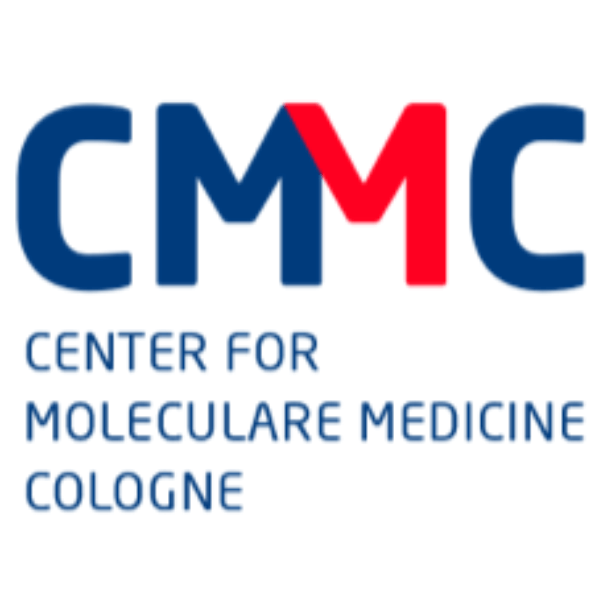 CMMC Logo